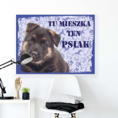 Animals and Living (11436CV) - Image 2