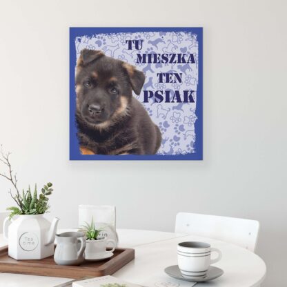 Animals and Living (11436CV) - Image 3