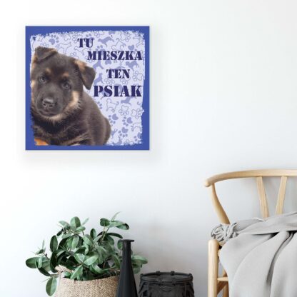 Animals and Living (11436CV) - Image 5