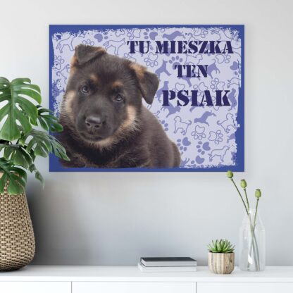 Animals and Living (11436CV) - Image 6