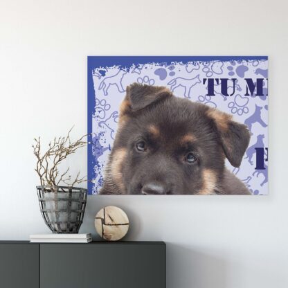 Animals and Living (11436CV) - Image 7