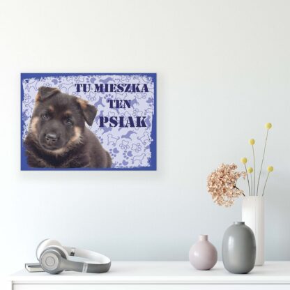 Animals and Living (11436CV) - Image 8