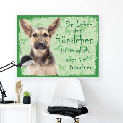 Animals and Living (11439CV) - Image 2