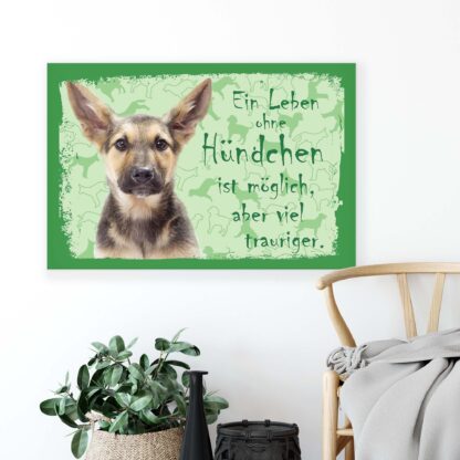 Animals and Living (11439CV) - Image 4
