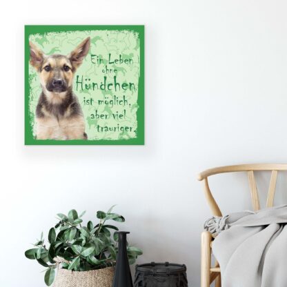 Animals and Living (11439CV) - Image 5