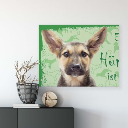 Animals and Living (11439CV) - Image 7