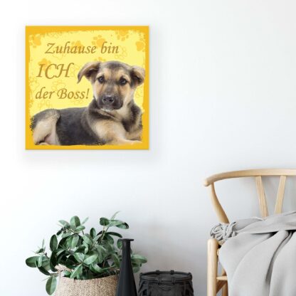 Animals and Living (11440CV) - Image 5