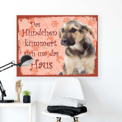 Animals and Living (11441CV) - Image 2