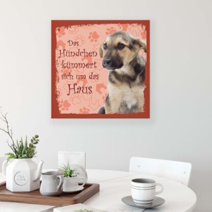 Animals and Living (11441CV) - Image 3