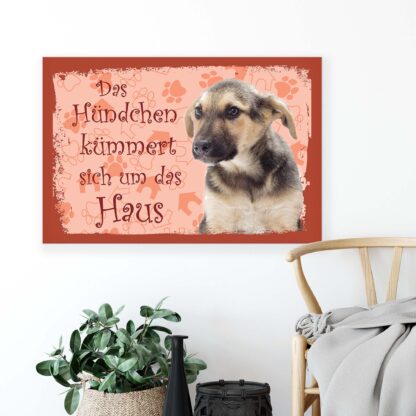Animals and Living (11441CV) - Image 4