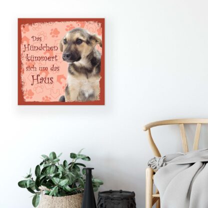 Animals and Living (11441CV) - Image 5