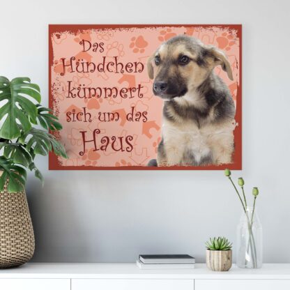 Animals and Living (11441CV) - Image 6