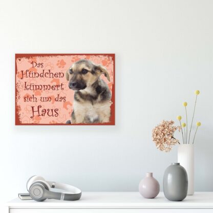 Animals and Living (11441CV) - Image 8