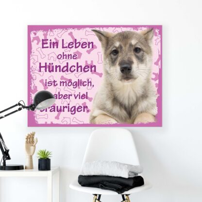 Animals and Living (11443CV) - Image 2
