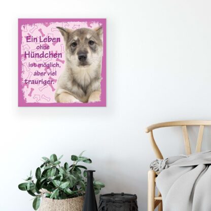 Animals and Living (11443CV) - Image 5