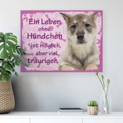 Animals and Living (11443CV) - Image 6