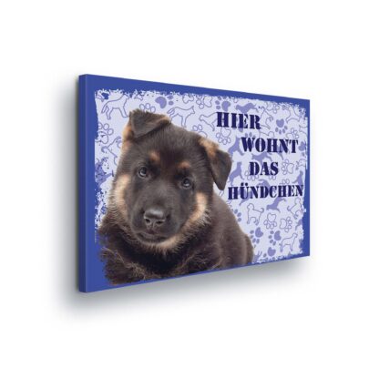 Animals and Living (11444CV)
