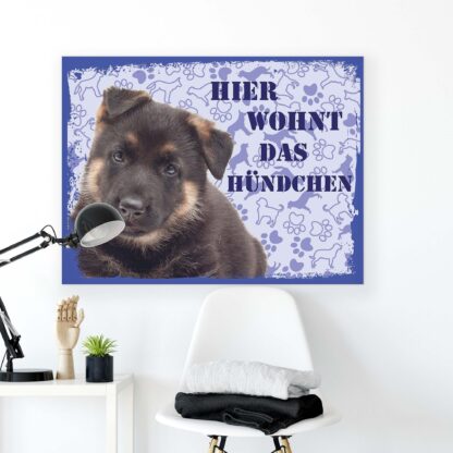 Animals and Living (11444CV) - Image 2