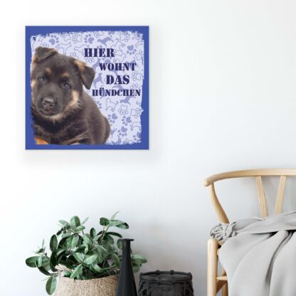 Animals and Living (11444CV) - Image 5