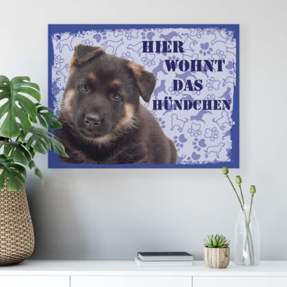 Animals and Living (11444CV) - Image 6