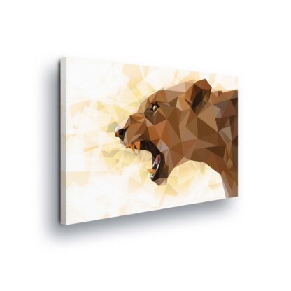 Animals and Living (11558CV)