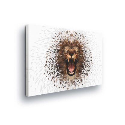 Animals and Living (11560CV)