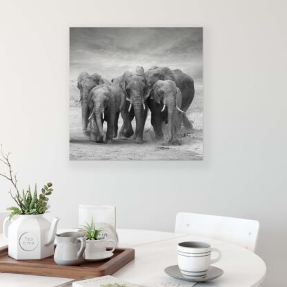 Animals and Living (11578CV) - Image 3