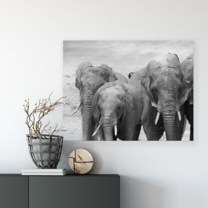 Animals and Living (11578CV) - Image 7