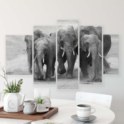 Animals and Living (11578CV) - Image 8