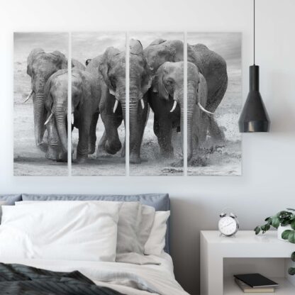 Animals and Living (11578CV) - Image 9