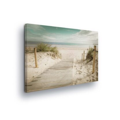 Beach and Coastal (11597CV)