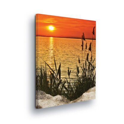 Beach and Coastal (11621CV)