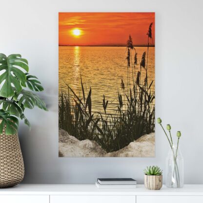 Beach and Coastal (11621CV) - Image 4