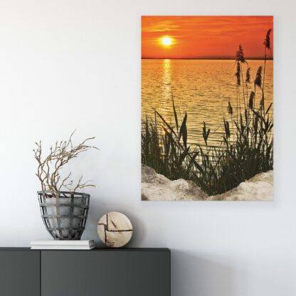 Beach and Coastal (11621CV) - Image 5