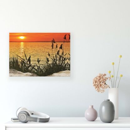 Beach and Coastal (11621CV) - Image 6