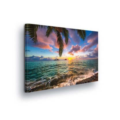 Tropical (11748CV)