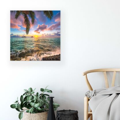 Tropical (11748CV) - Image 5