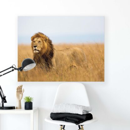 Animals and Living (11750CV) - Image 2