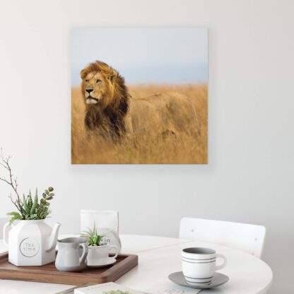 Animals and Living (11750CV) - Image 3