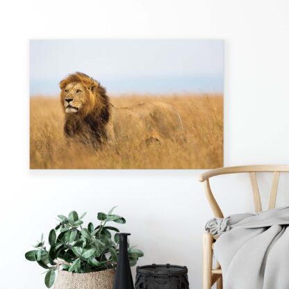 Animals and Living (11750CV) - Image 4