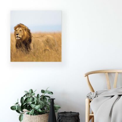 Animals and Living (11750CV) - Image 5
