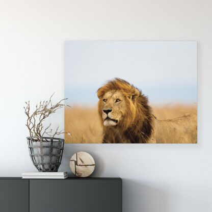 Animals and Living (11750CV) - Image 7