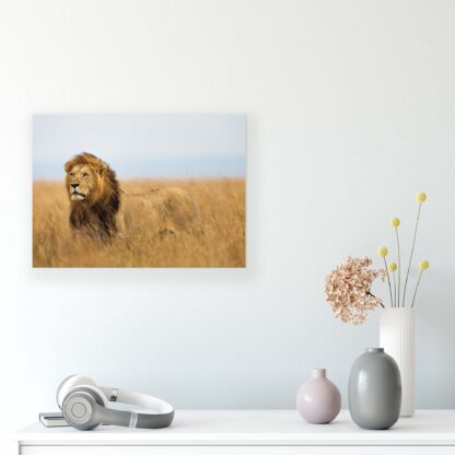 Animals and Living (11750CV) - Image 8
