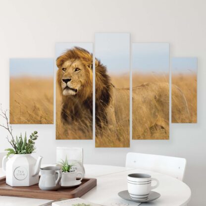 Animals and Living (11750CV) - Image 9