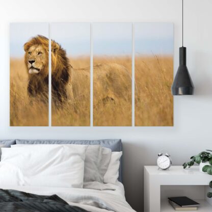 Animals and Living (11750CV) - Image 10