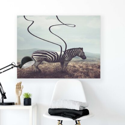 Animals and Living (11754CV) - Image 2