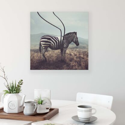 Animals and Living (11754CV) - Image 3