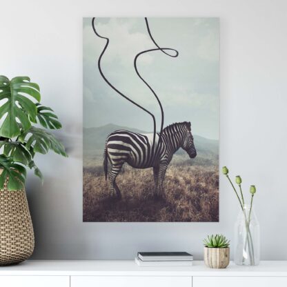 Animals and Living (11754CV) - Image 4