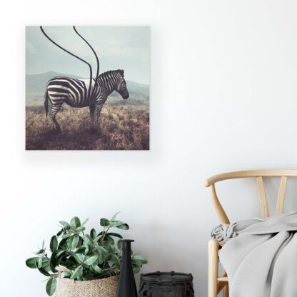 Animals and Living (11754CV) - Image 5