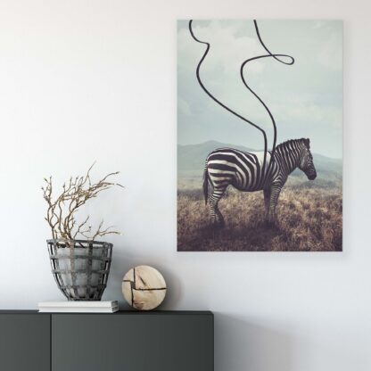 Animals and Living (11754CV) - Image 6